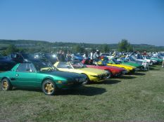 Fiat tali, hungaroring