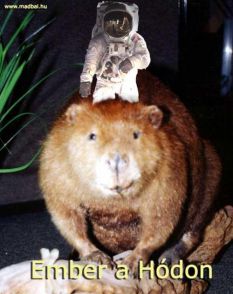 hód
