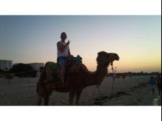 I'm on Camel